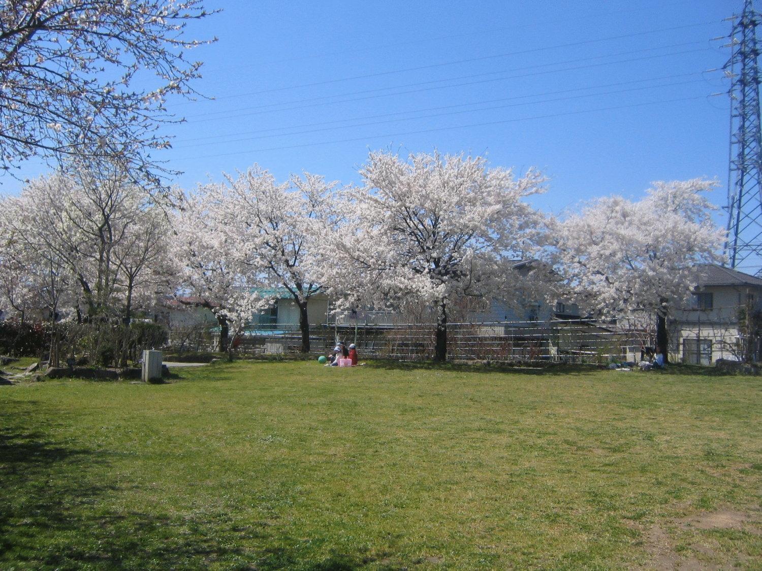 Ryokan Hakura Hotel Yamanouchi  Luaran gambar